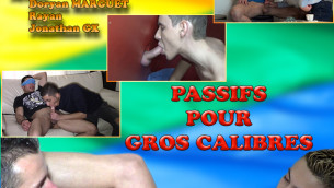 PASSIFS POUR GROS CALIBRES