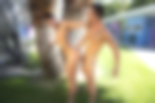 PALM SPRINGS DAY PASS #1