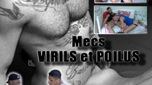 MECS VIRILS ET POILUS