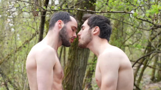 L'ETALON FRANCAIS #3