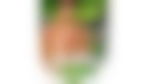 les minets de l'info