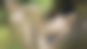 Mecs canon bien détendus