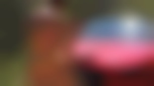 Anally penetrated in some guy's car